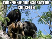 типичные пользователи соцсетей 