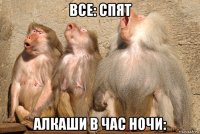 все: спят алкаши в час ночи: