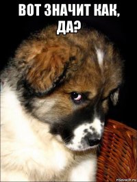 вот значит как, да? 