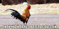  типичный пользователь соцсетей
