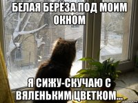белая берёза под моим окном я сижу-скучаю с вяленьким цветком...