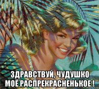  здравствуй, чудушко моё распрекрасненькое !