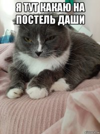 я тут какаю на постель даши 