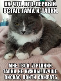 ну. что. кто. первый. встал. таму. и. тапки. мне. твои. утреннии. тапки. не. нужны. лучше. вискас. пойти. сажрать