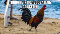 типичный пользователь соцсетей 