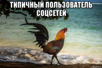 типичный пользователь соцсетей 