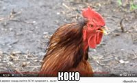  коко