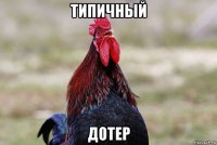 типичный дотер