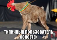  типичный пользователь соцсетей