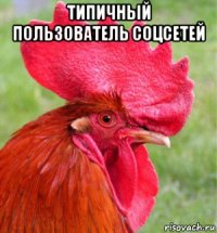 типичный пользователь соцсетей 