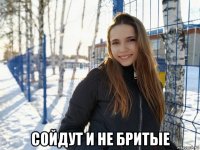  сойдут и не бритые