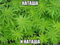 наташа и наташа