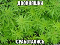 двойняшки сработались