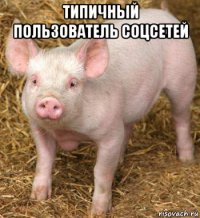 типичный пользователь соцсетей 