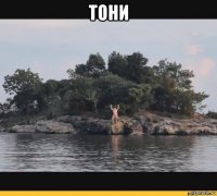 тони 
