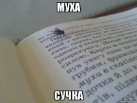 муха сучка