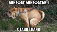 бонефат бонефатьич ставит лайк