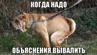 когда надо объяснения вывалить