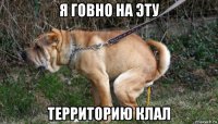 я говно на эту территорию клал
