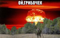 ой,грибочек 