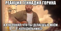 реакция геннадия горина а я не понял что ты делаешь в моём холодильнике?