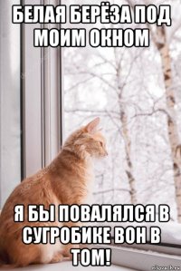 белая берёза под моим окном я бы повалялся в сугробике вон в том!