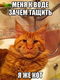 меня к воде зачем тащить я же кот