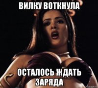 вилку воткнула осталось ждать заряда
