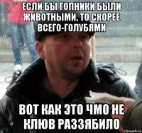 если бы гопники были животными, то скорее всего-голубями вот как это чмо не клюв раззябило