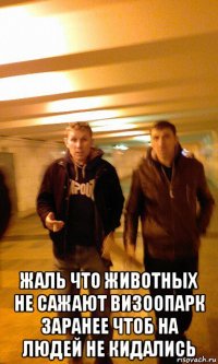  жаль что животных не сажают визоопарк заранее чтоб на людей не кидались
