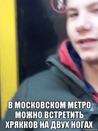  в московском метро можно встретить хрякков на двух ногах