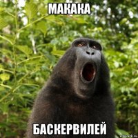 макака баскервилей