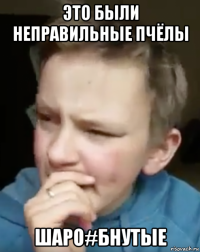 это были неправильные пчёлы шаро#бнутые