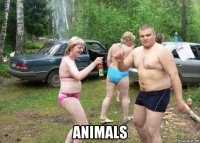  animals