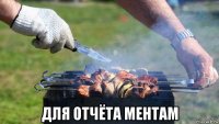  для отчёта ментам