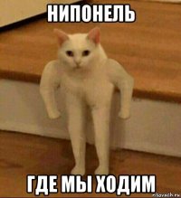 нипонель где мы ходим