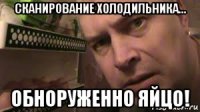 сканирование холодильника... обноруженно яйцо!
