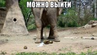 можно выйти 