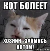 кот болеет хозяин - займись котом!