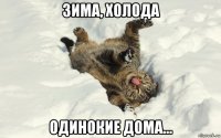 зима, холода одинокие дома...