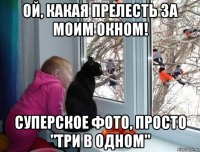 ой, какая прелесть за моим окном! суперское фото, просто "три в одном"