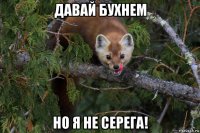 давай бухнем но я не серега!