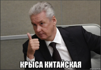  крыса китайская