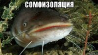 сомоизоляция 