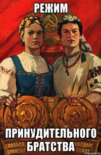 режим принудительного братства