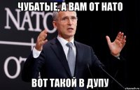 чубатые, а вам от нато вот такой в дупу
