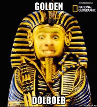 golden dolboeb