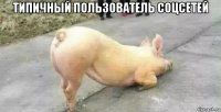 типичный пользователь соцсетей 