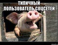 типичный пользователь соцсетей 