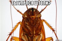 ты упрлся штоли? 